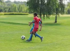 阿森纳防线,支柱腹股沟,伤情成隐忧,九游,九游体育,9You,九游体育官网